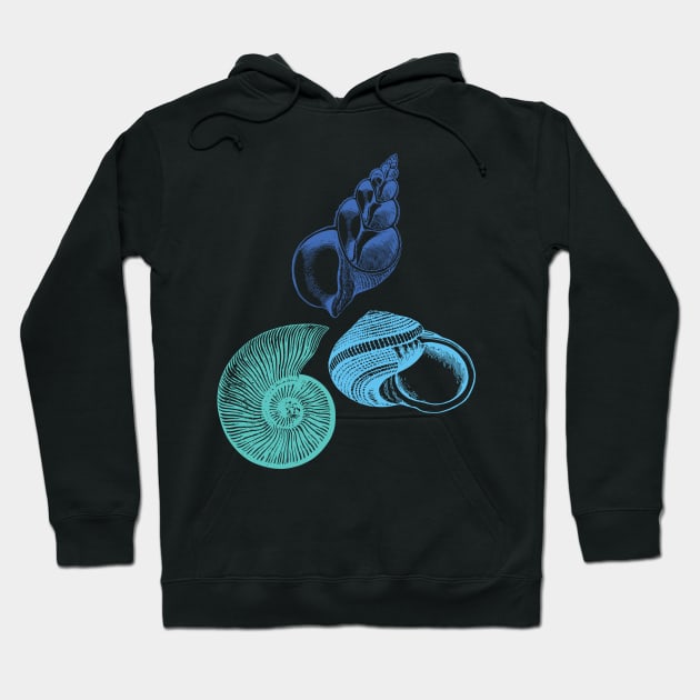 Seashell Nautical Ocean Summer Sea Hoodie by Inogitna Designs